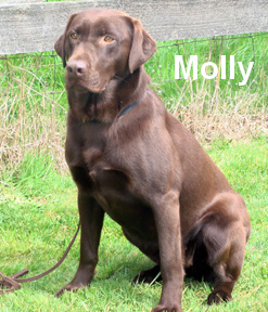 Molly