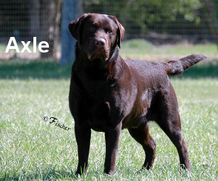 Axle